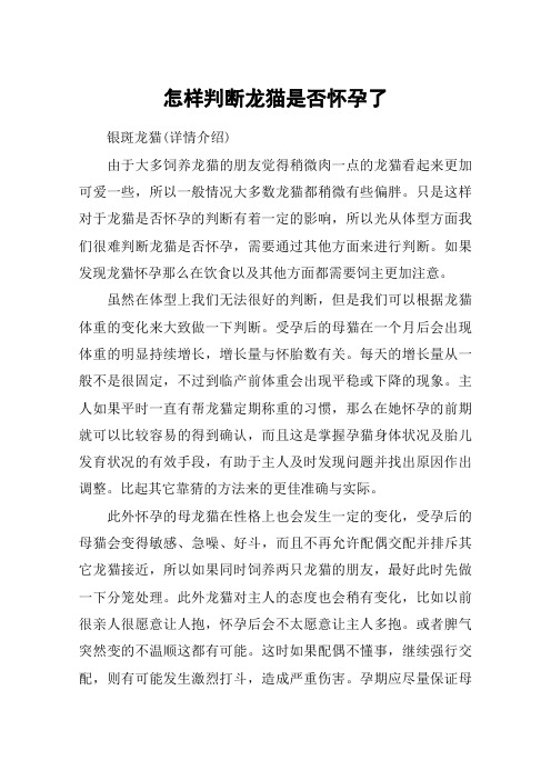 怎样判断龙猫是否怀孕了