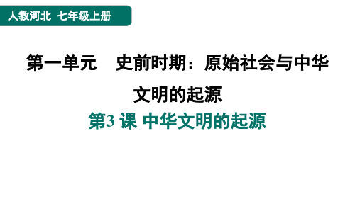 24秋 人教七年级历史上册第3 课 中华文明的起源(习题课件)