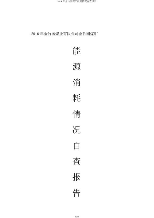 2016年金竹园煤矿能耗情况自查报告