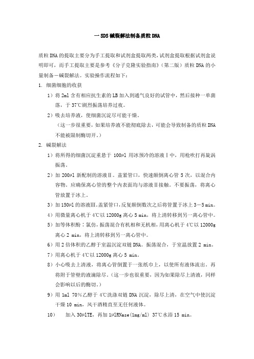 分子实验