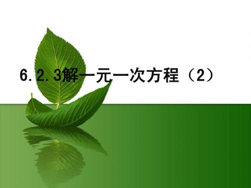 6.2.3华师大解一元一次方程(2)