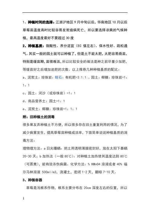 家庭草莓盆栽种植说明