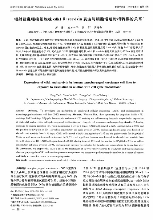 辐射致鼻咽癌细胞株cdkl和survivin表达与细胞增殖时相转换的关系