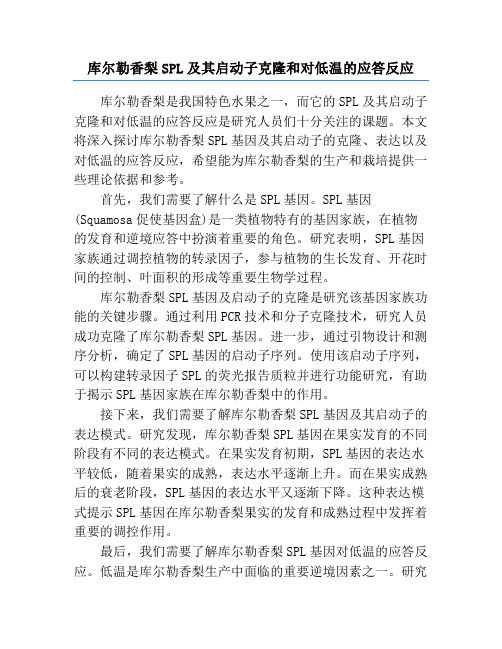 库尔勒香梨SPL及其启动子克隆和对低温的应答反应