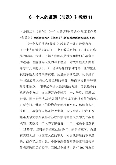 《一个人的遭遇(节选)》教案
