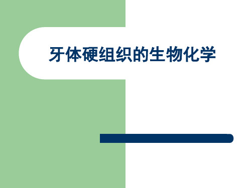 牙体硬组织的生物化学