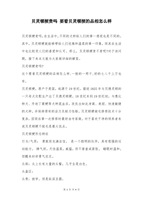 贝灵顿梗贵吗 要看贝灵顿梗的品相怎么样