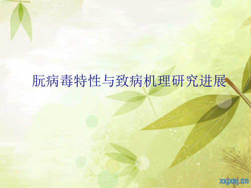 朊病毒的简介