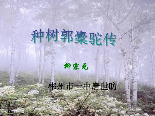 人教课标版  中国古代诗歌散文欣赏第六单元文无定格,贵在鲜活PPT(打包14套) 9