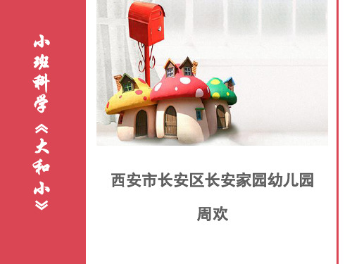 小班科学《大和小》微课件