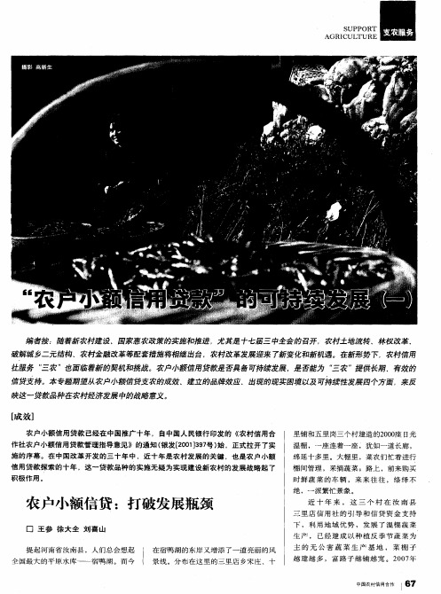 “农户小额信用贷款”的可持续发展(一)：农户小额信贷：打破发展瓶颈