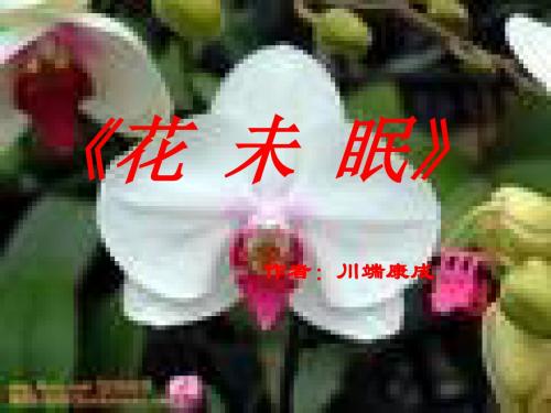 花未眠 PPT课件 7 人教版