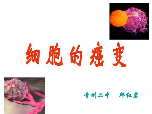 高一生物细胞的癌变(新编2019)