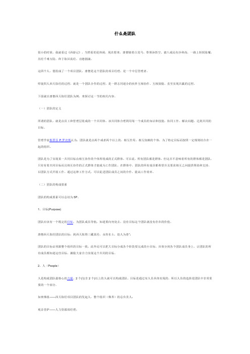 什么是团队