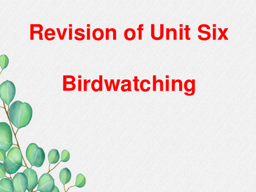 2022年八年级英语上册《Unit6 Bird watching Revision》课件(公开课)