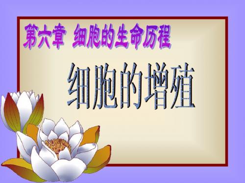 人教版教学课件云南省开远四中高一生物《61 细胞的增殖 》课件 必修一