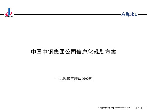 企业信息化规划案例分析中钢集团信息化规划方案(new)学习