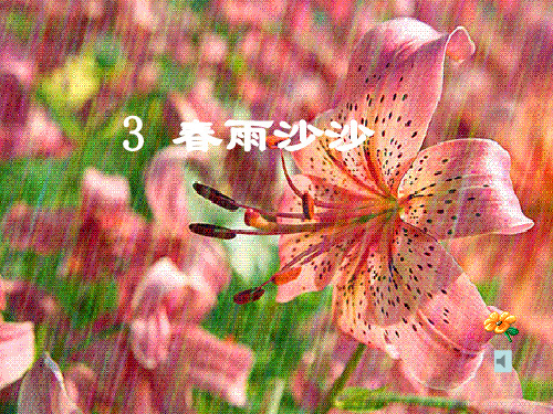 2015春湘教版语文一下《春雨沙沙》