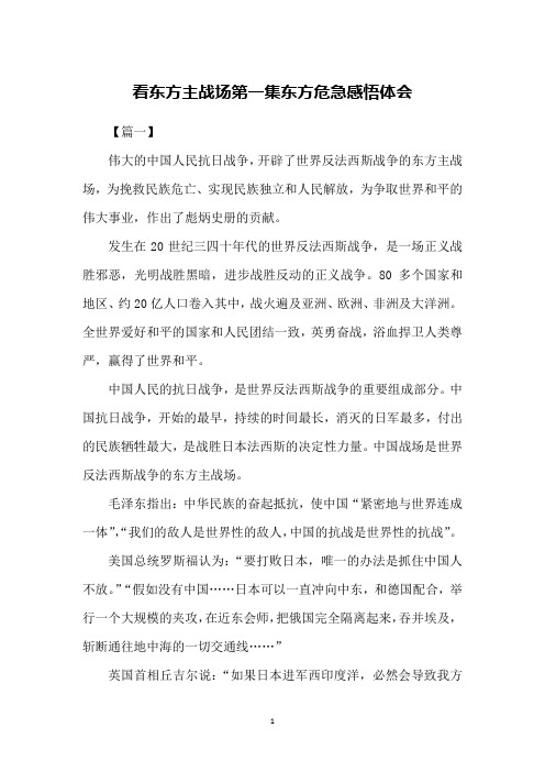 看东方主战场第一集东方危急感悟体会