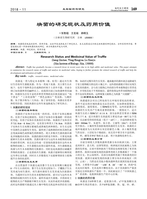 块菌的研究现状及药用价值