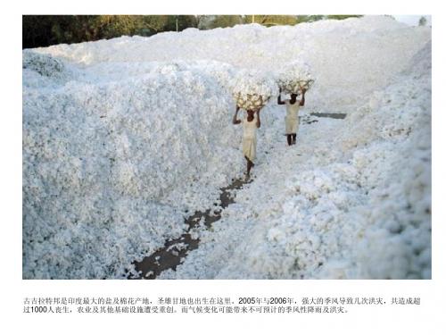 最可能消失的100处美景
