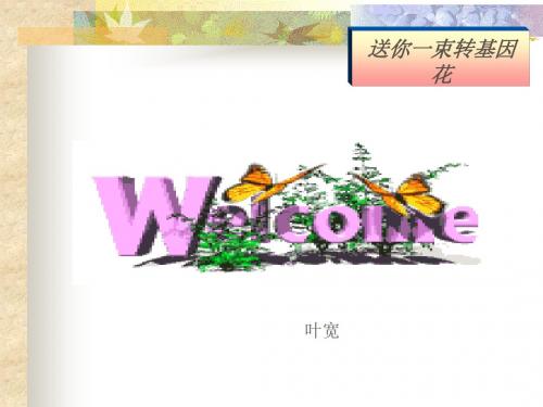 送你一束转基因花PPT 苏教版 (共14张PPT)