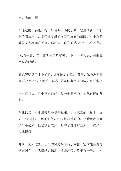 立大志的小鹰故事