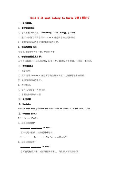 九年级英语全册 Unit 8 It must belong to Carla(第3课时)教案