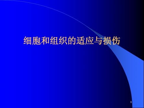 细胞与组织的适应与损伤修复