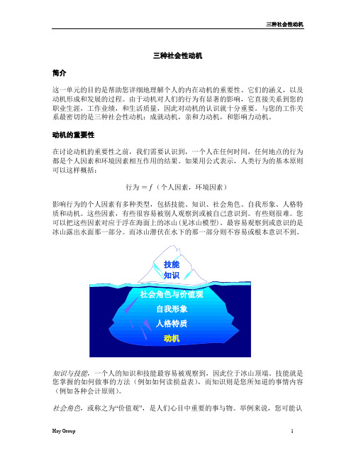 HAY GROUP三种动机three social motives