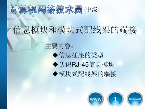 3_RJ-45信息模块和模块式配线架的端接