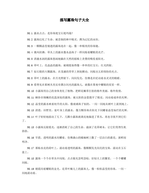 描写露珠句子大全