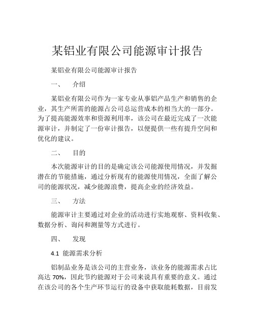 某铝业有限公司能源审计报告