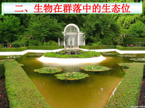 生物在群落中的生态位