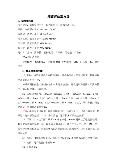 细菌前处理方法