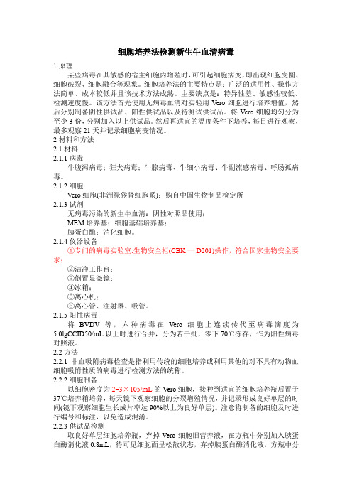 新生牛血清病毒检测细胞培养法