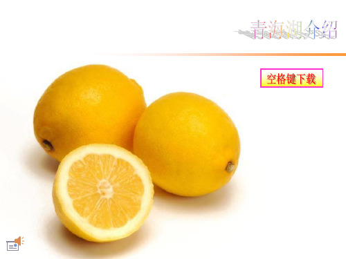 青海湖的介绍