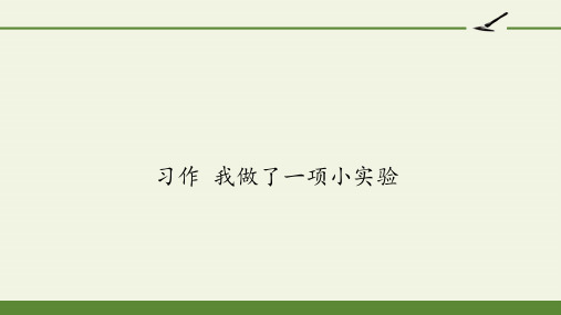 《习作我做了一项小实验》ppt课件精品版