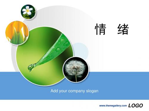 情   绪