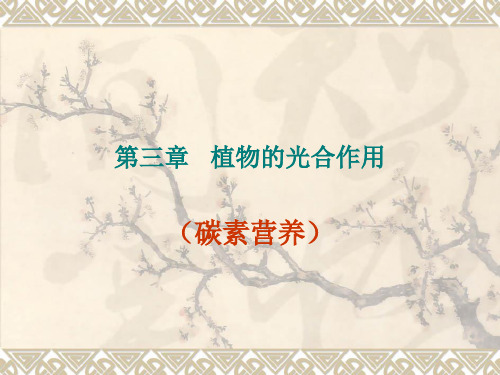 第三章 植物的光合作用u