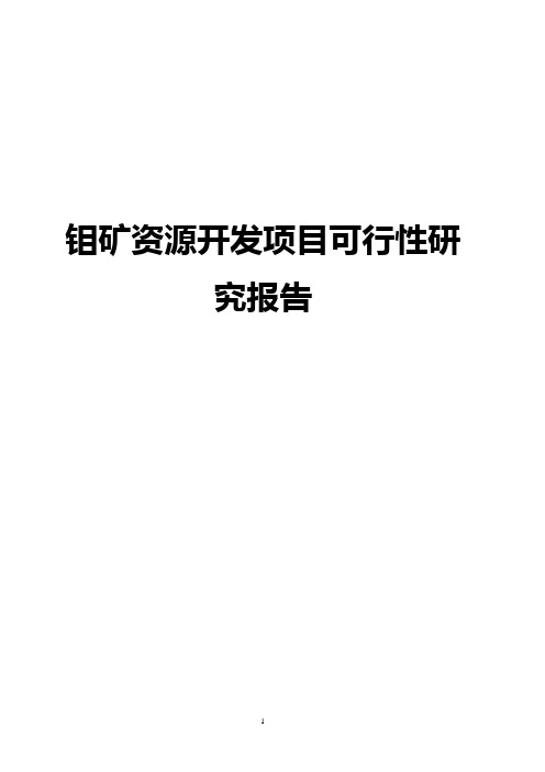 钼矿资源开发项目可行性研究报告