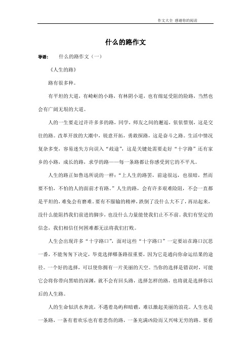 什么的路作文