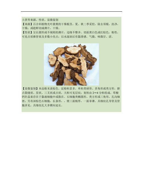 土茯苓来源、性状、显微鉴别.