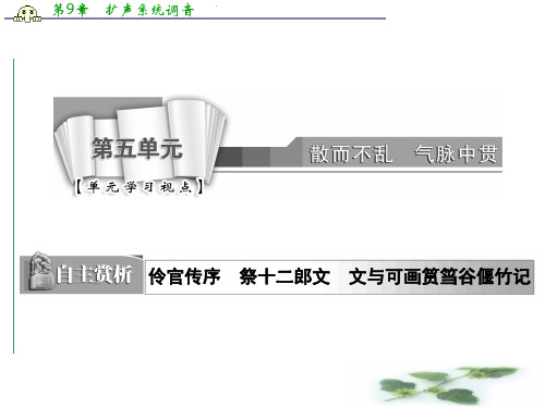 高中语文人教选修《中国古代诗歌散文欣赏》课件：第五单元 祭十二郎文