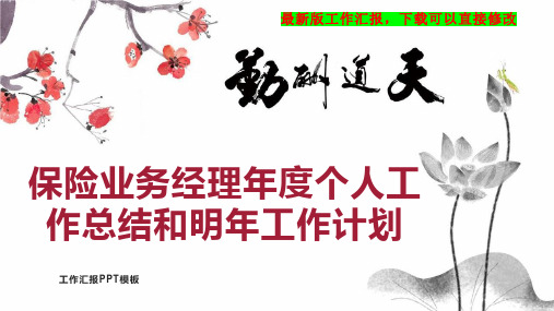 保险业务经理年度个人工作总结和明年工作计划PPT模板下载