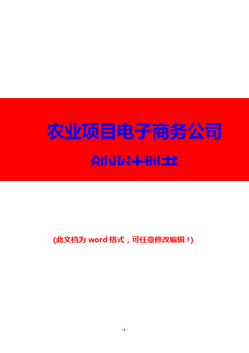 最新最详细农业项目电子商务公司创业计划书