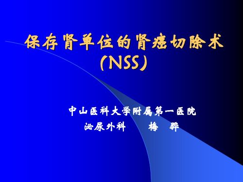 保存肾单位的肾癌切除