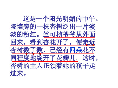 三年级语文第一朵杏花(PPT)5-1