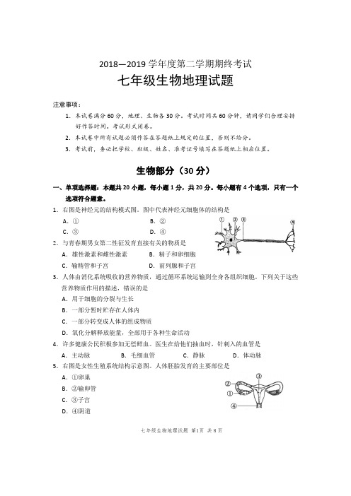 初一下学期期末考试试卷生物试题(含答案)