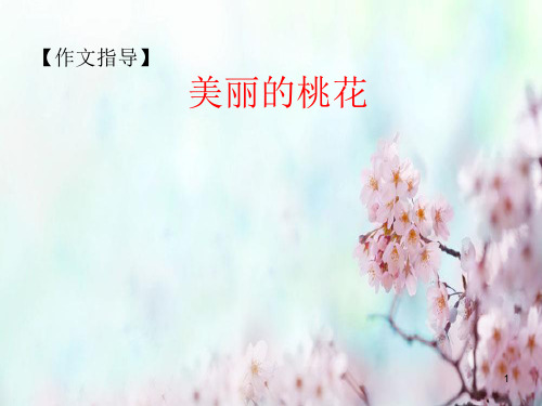美丽的桃花作文指导ppt课件